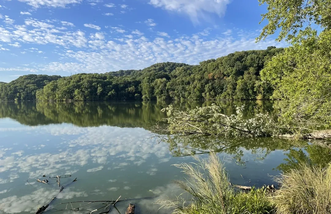 Radnor Lake State Park image