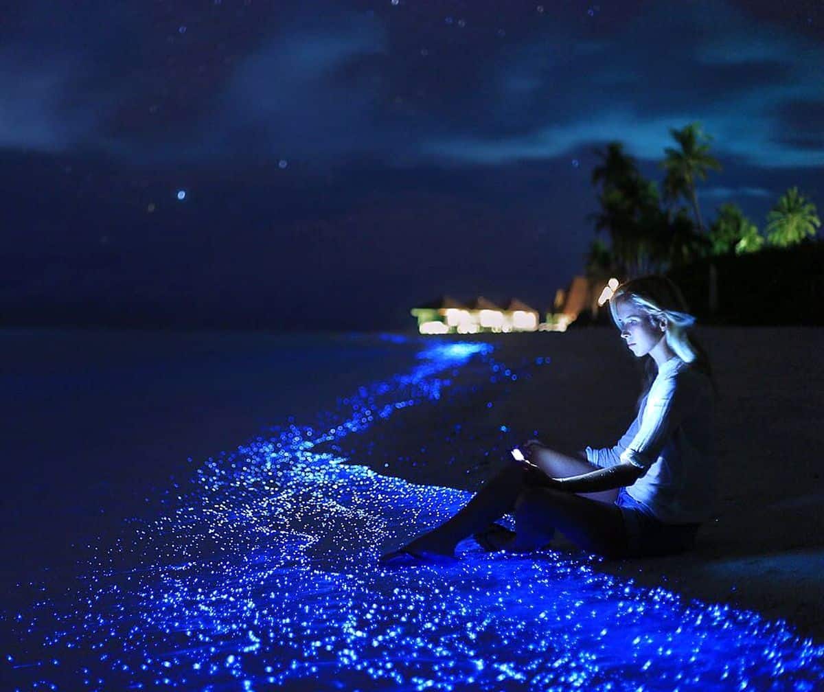 Vaadhoo Island Beach, Maldives