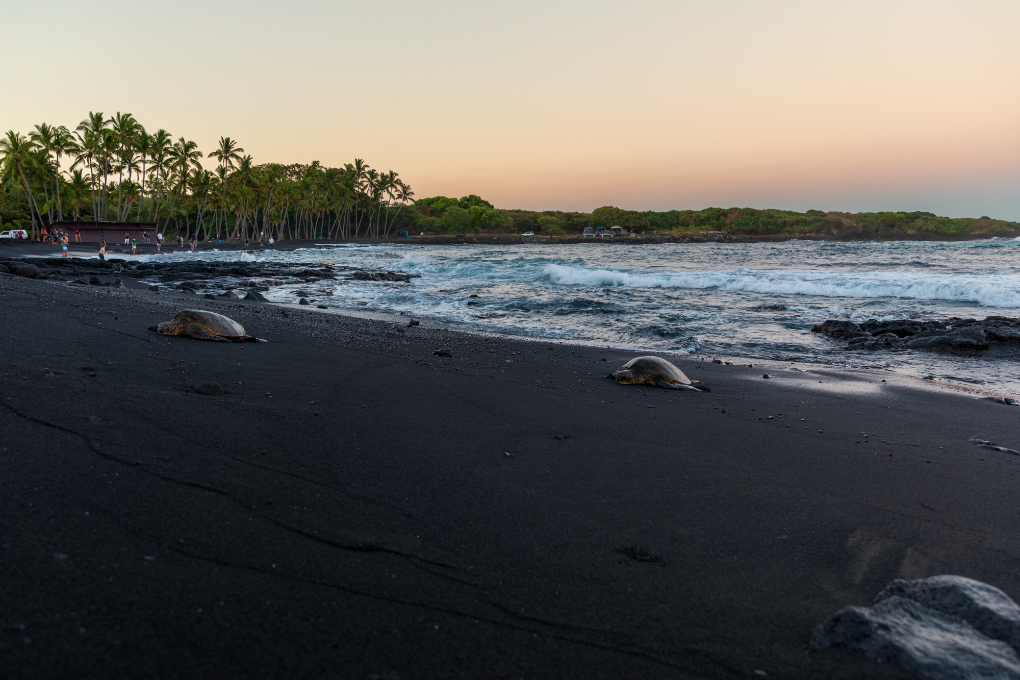 Punaluʻu Black Sand Beach, Hawaii
