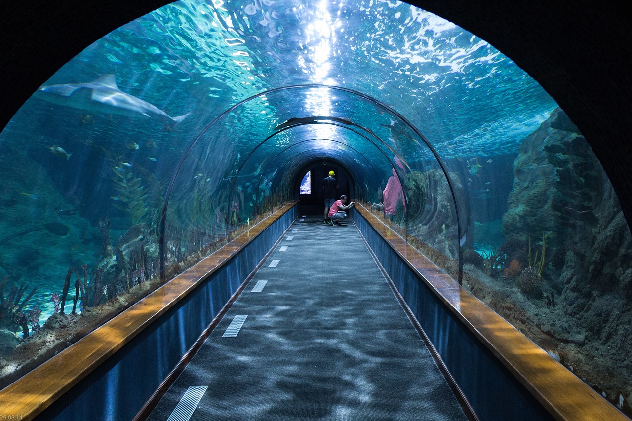 aquarium