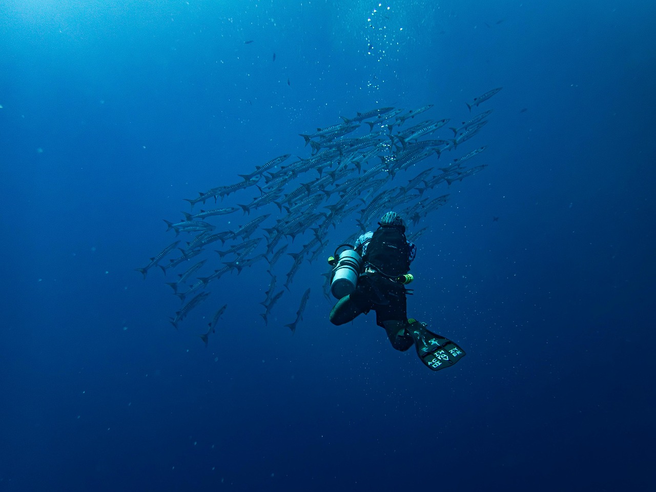 snorkelling