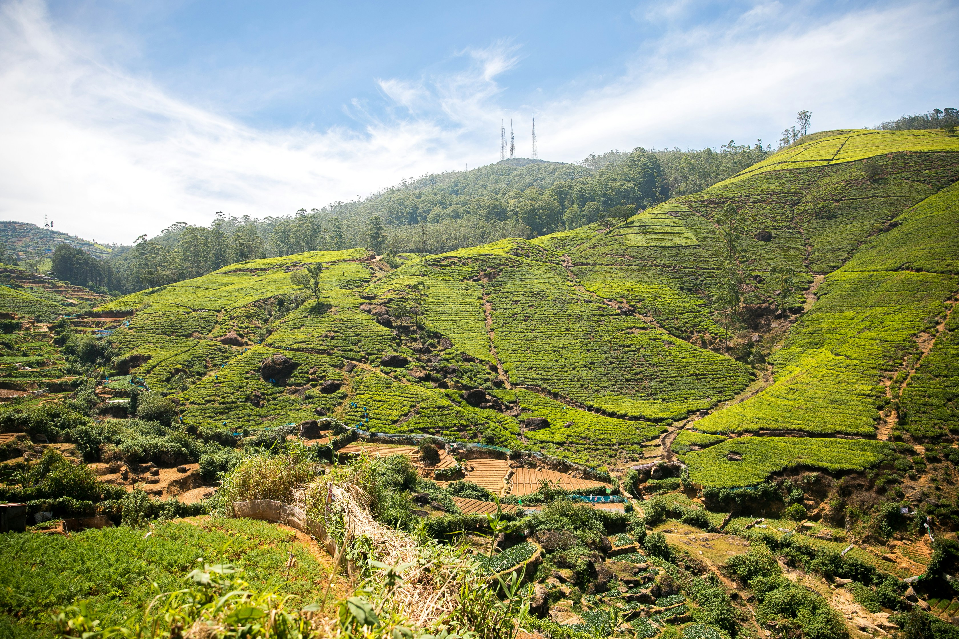 sri lanka