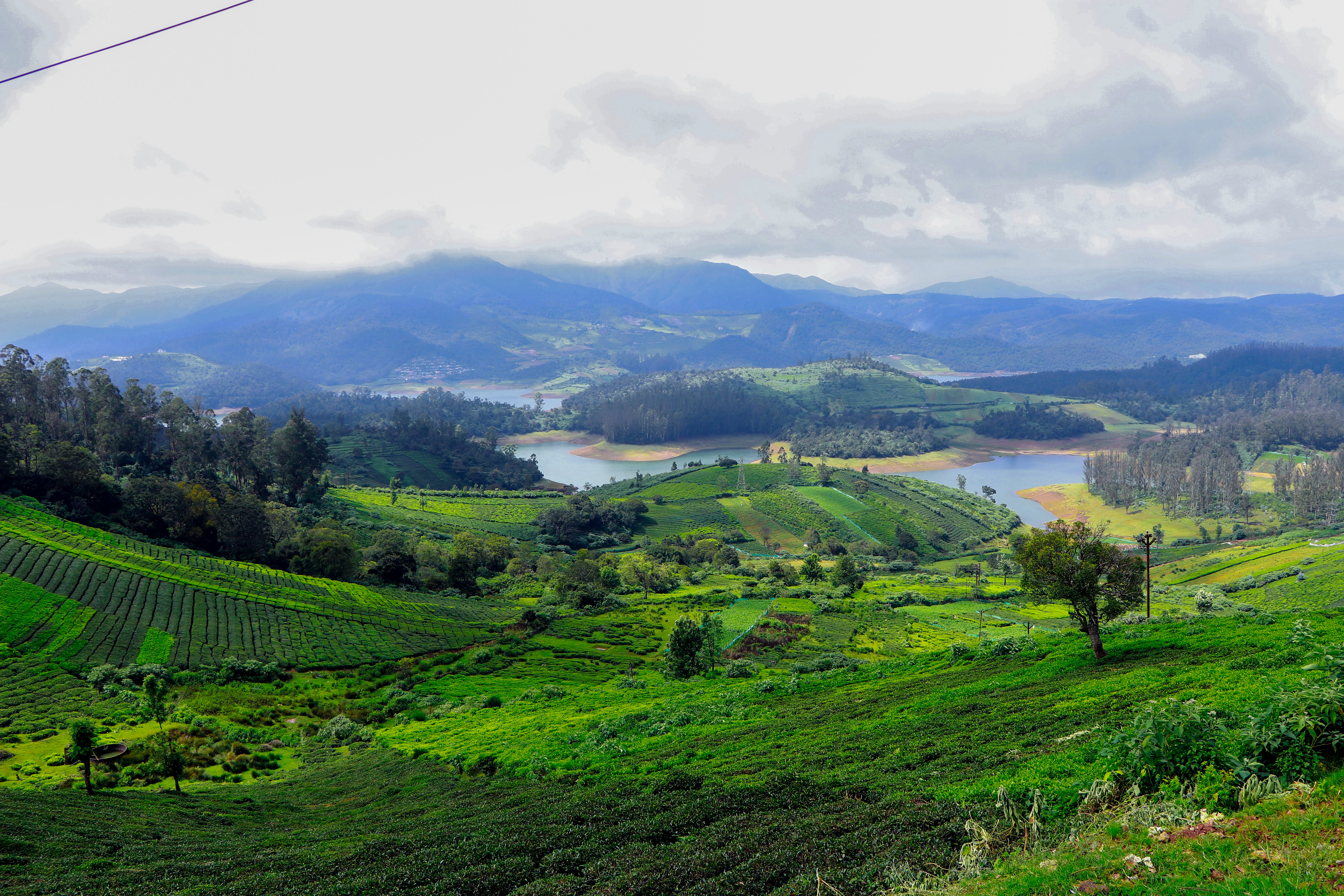 ooty