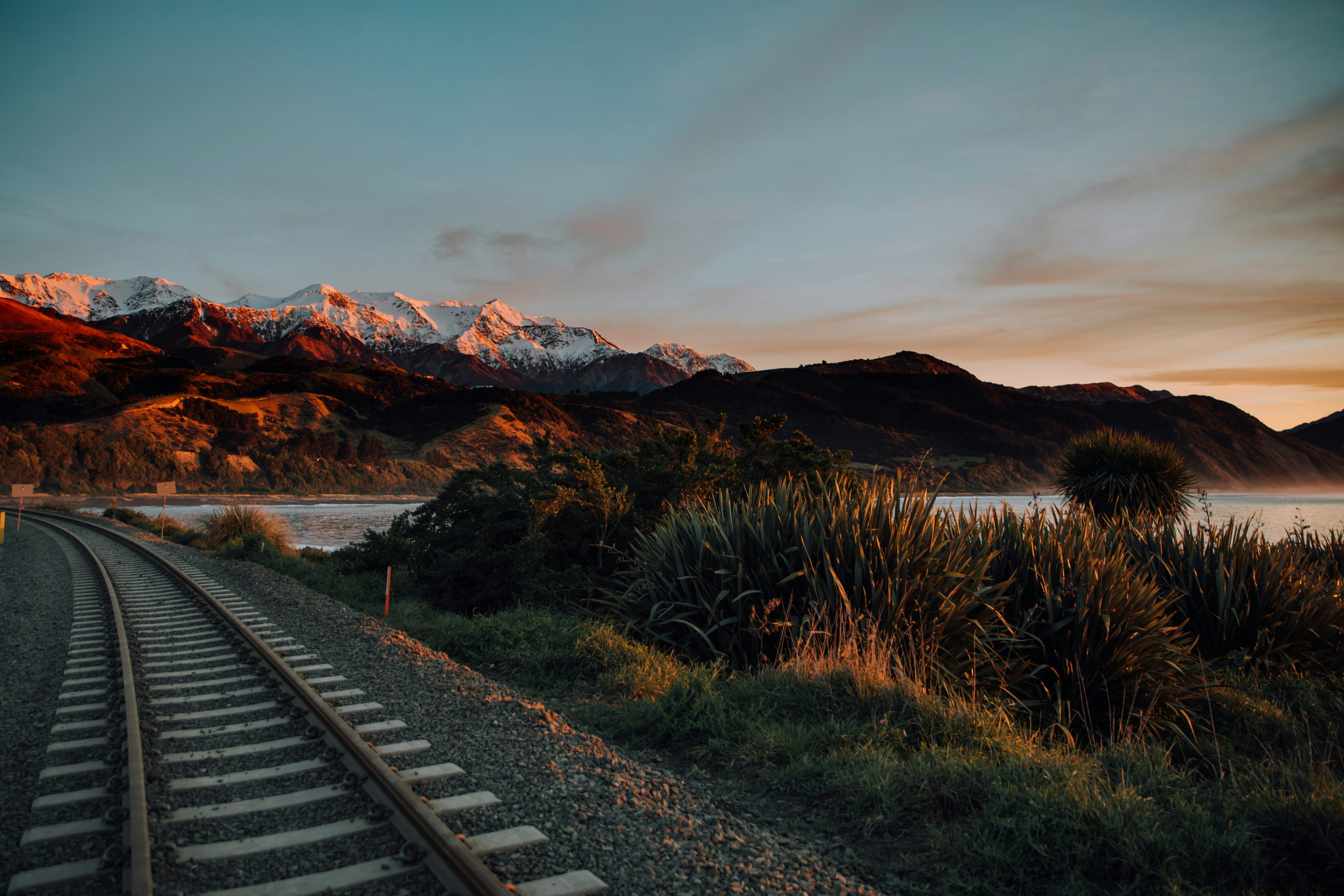 new zealand