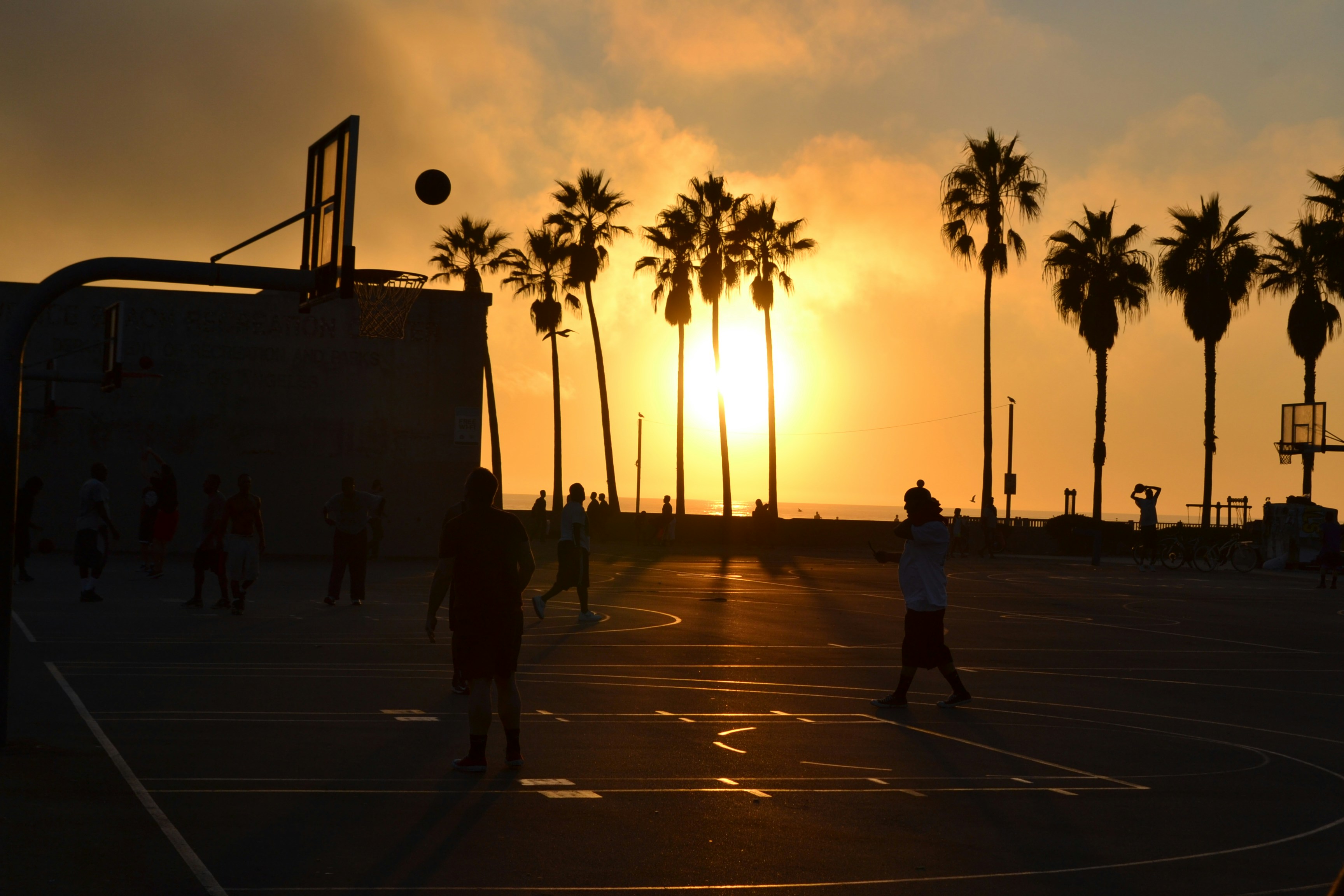venice beach