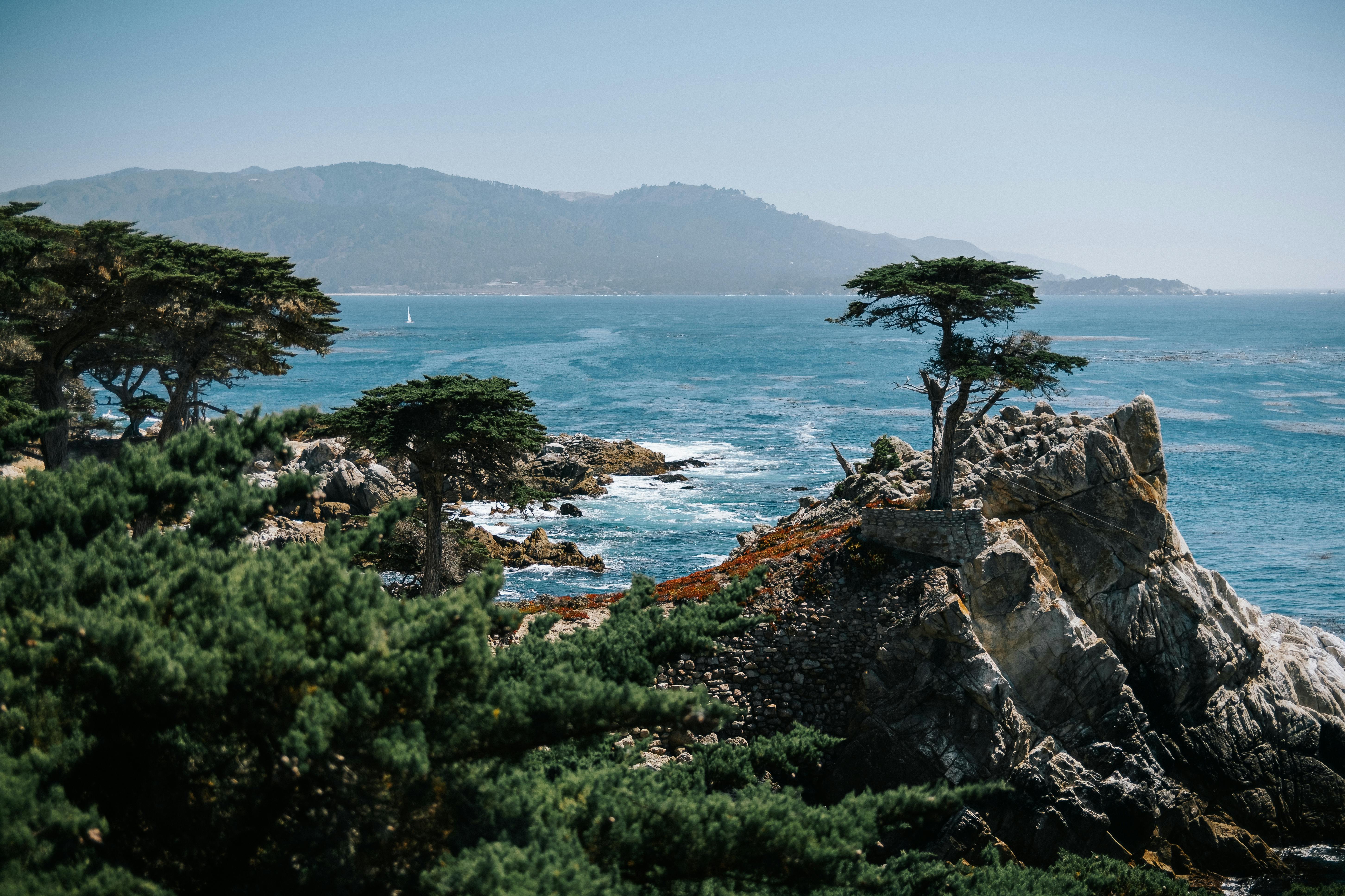 the-lone-cypress-at-pebble-beach-california