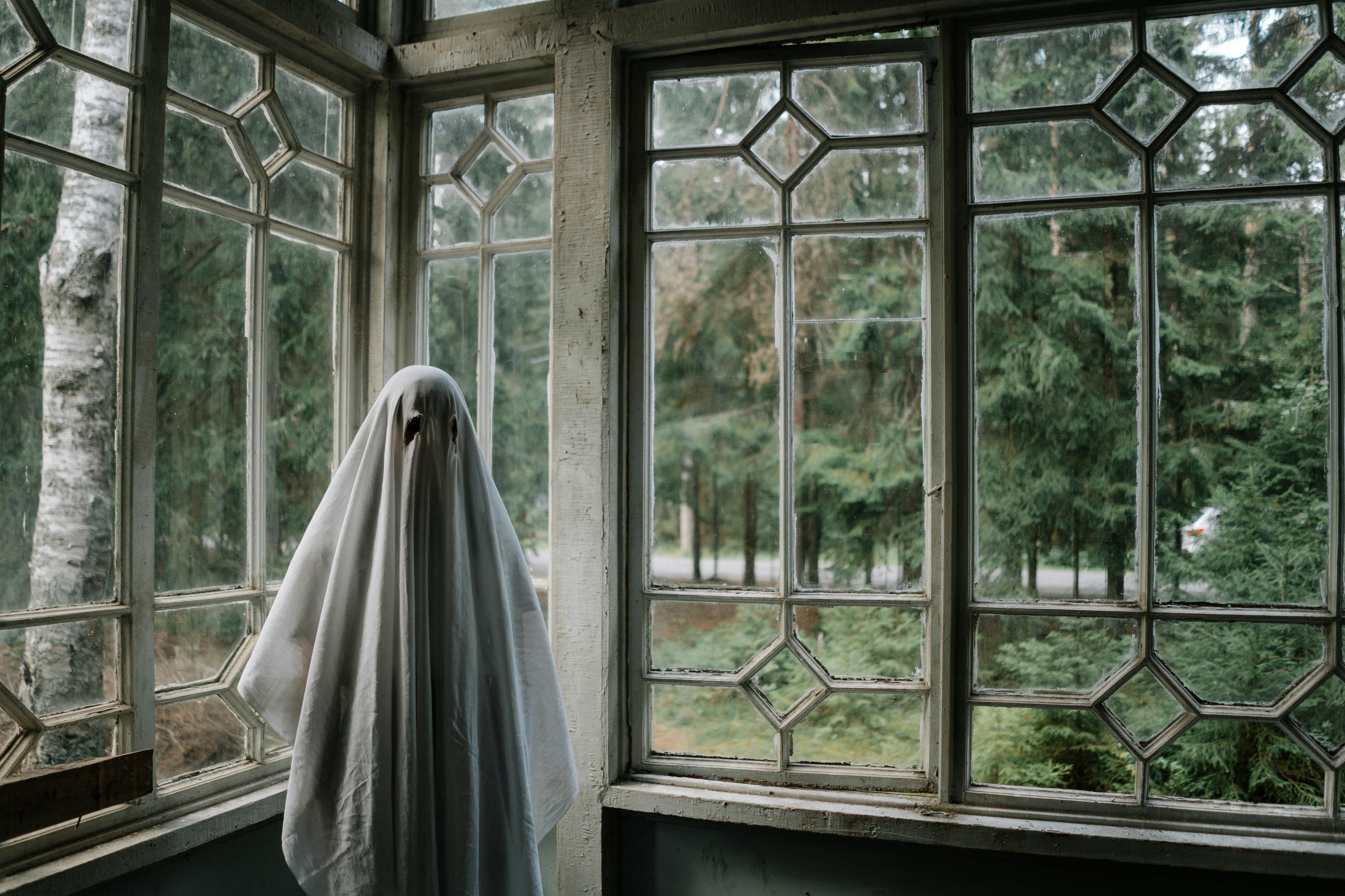 person-in-ghost-costume-standing-beside-windows
