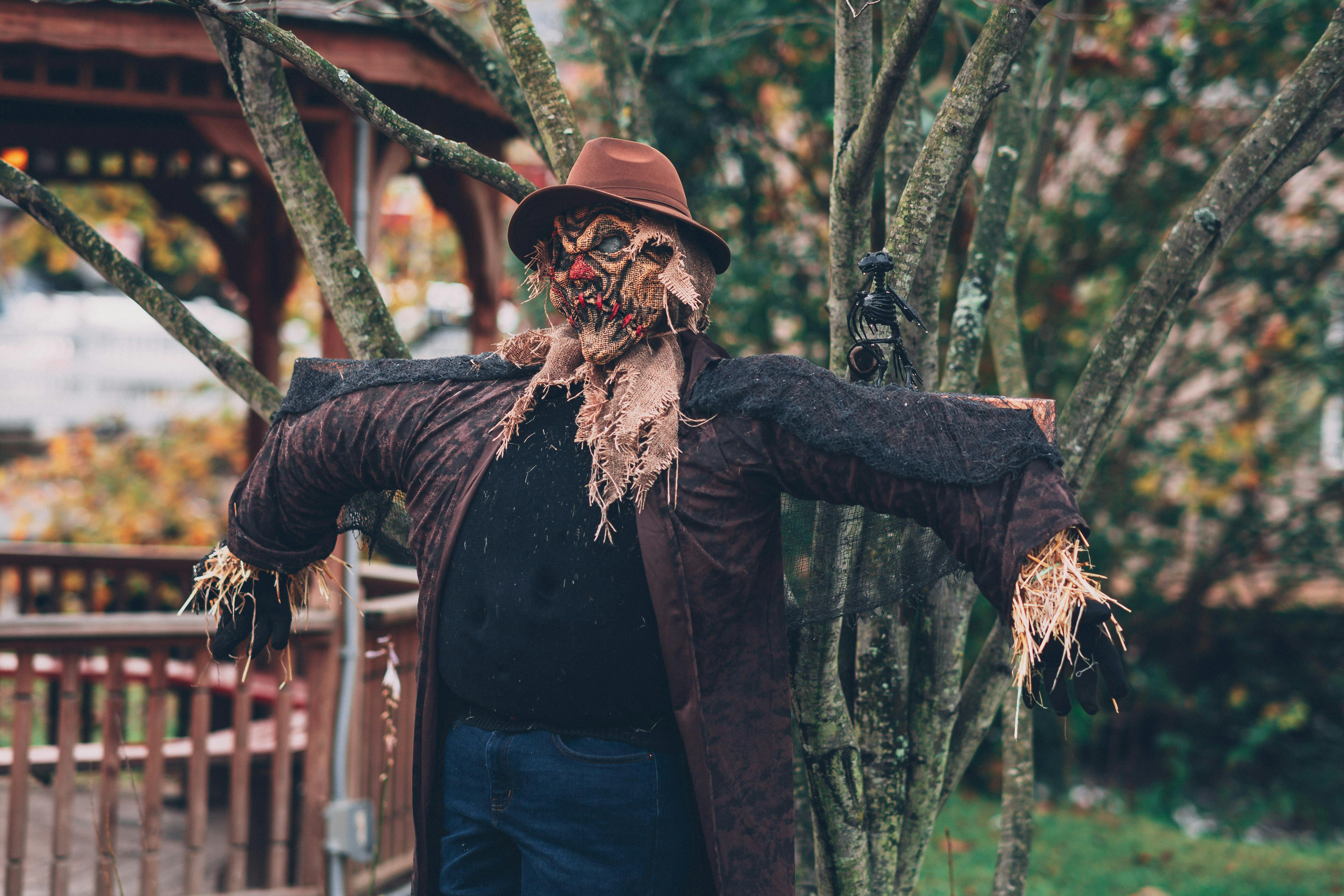scarecrow-beside-tree