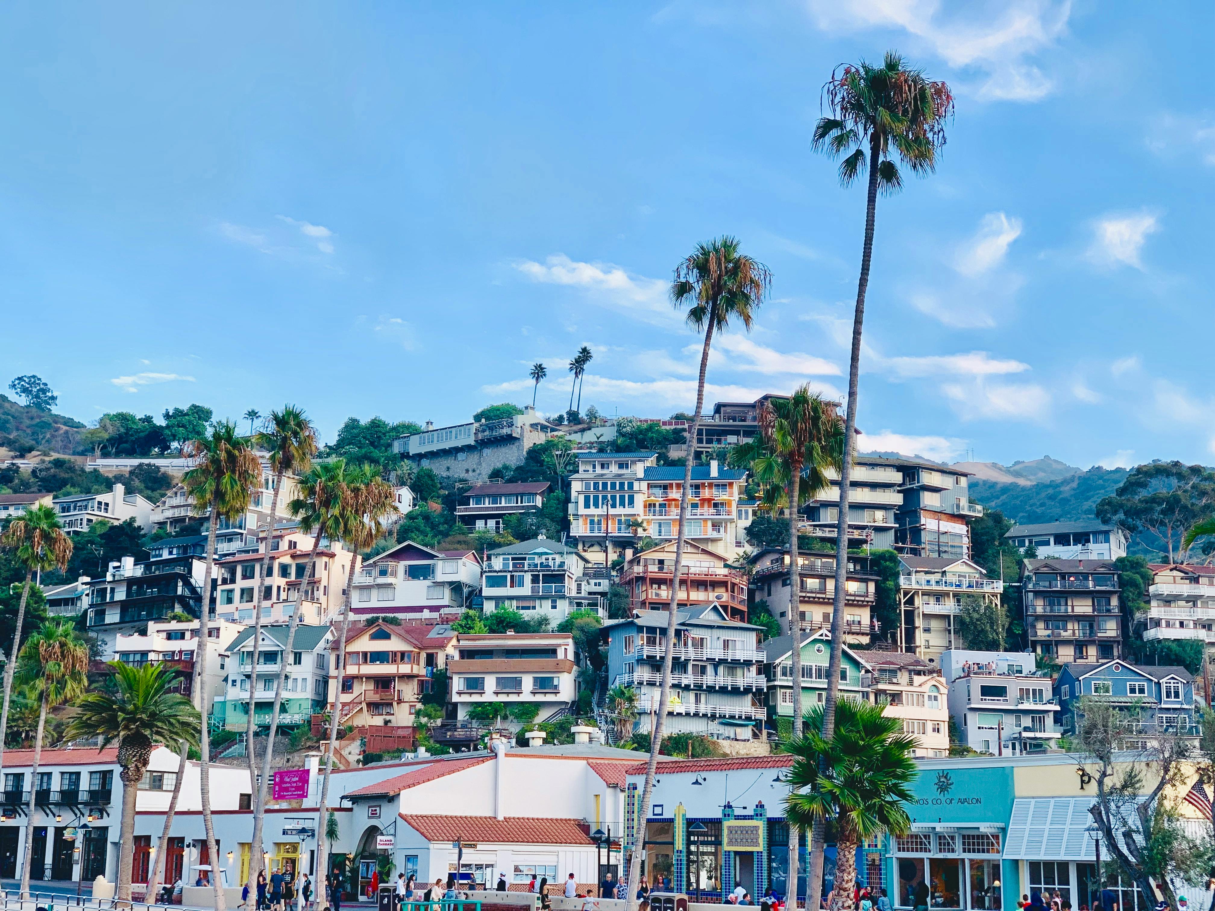 visit catalina island