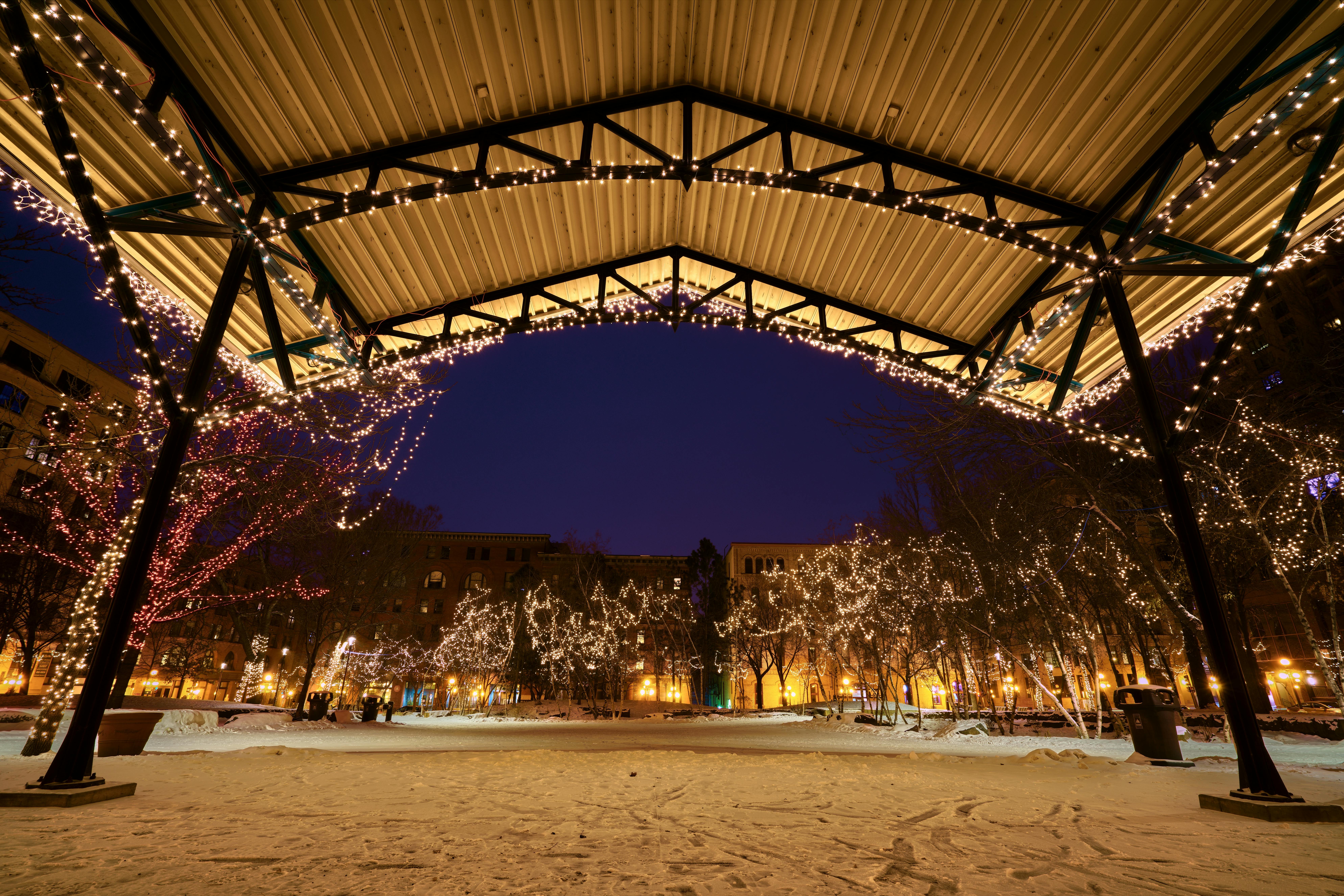 winter carnival
