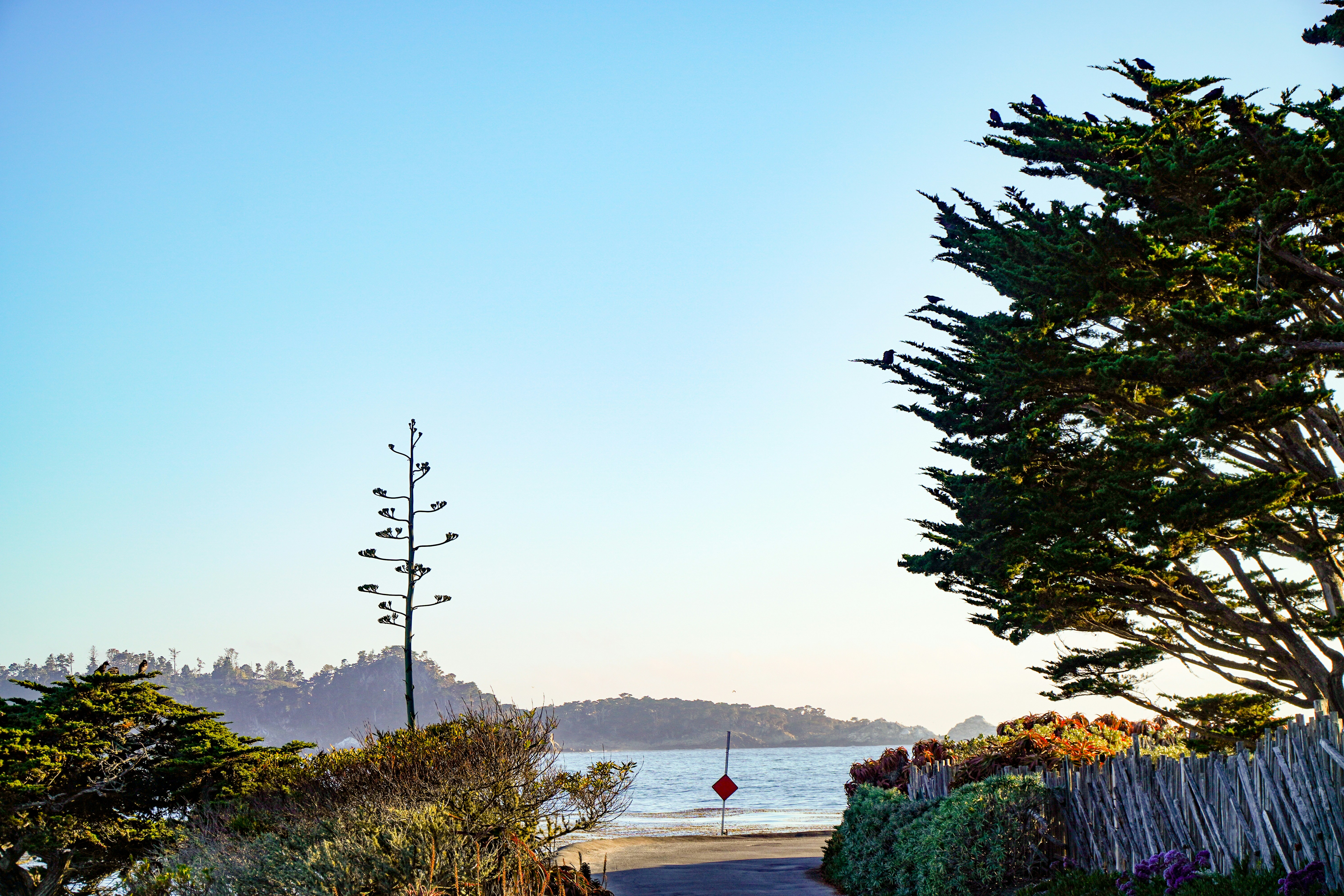 why choose this road trip