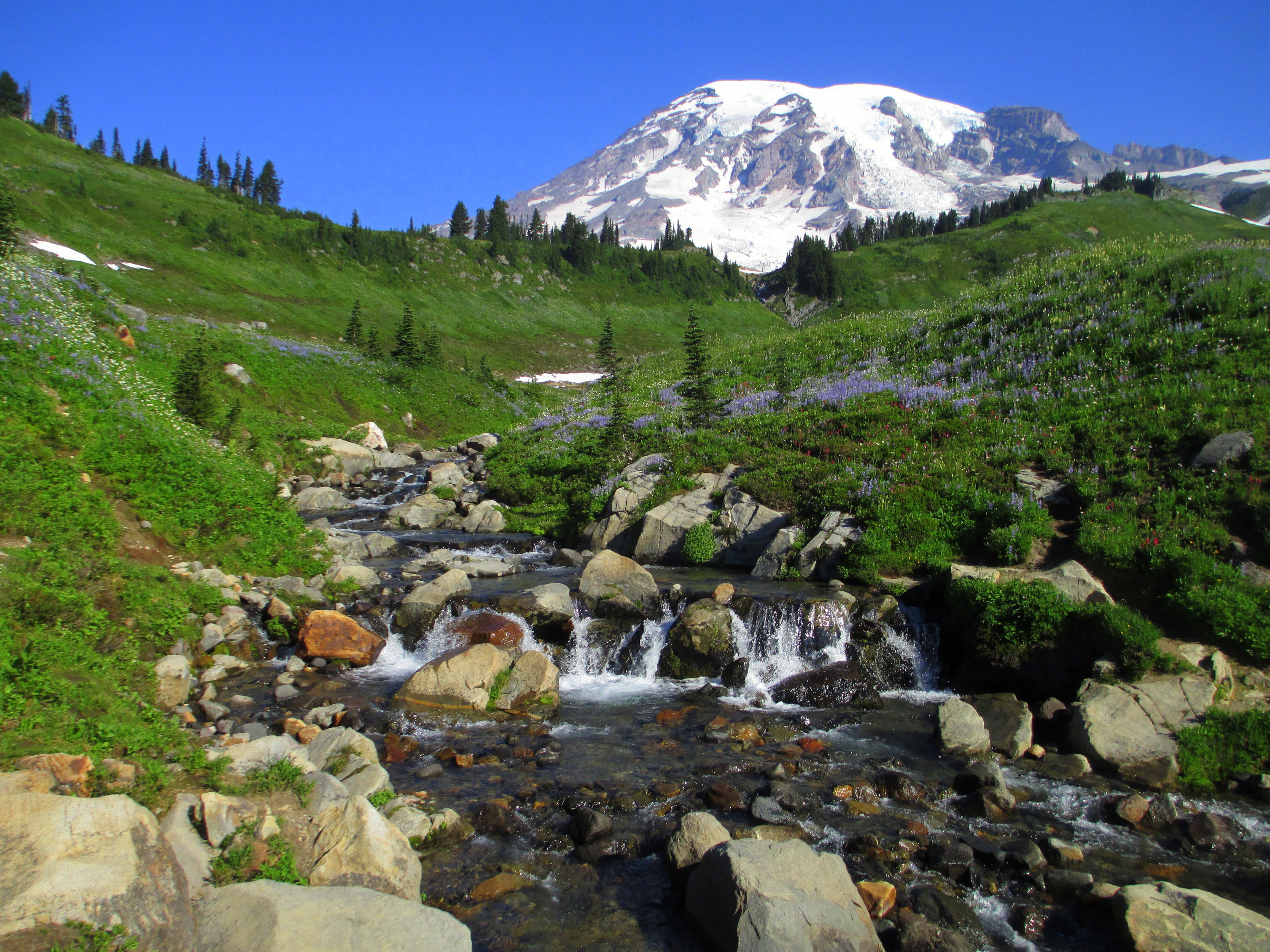 mount rainer national park