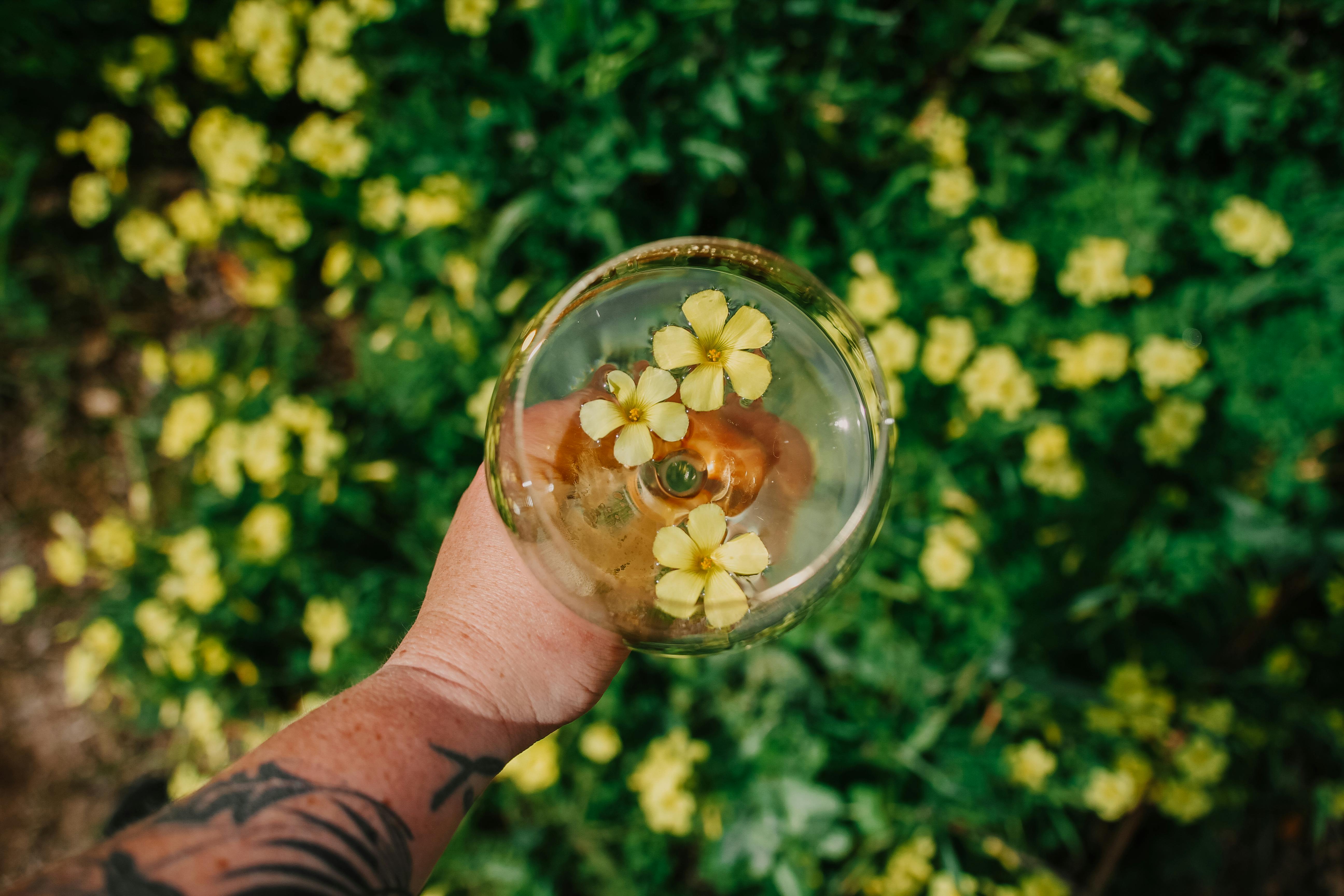 bottlerock napa valley