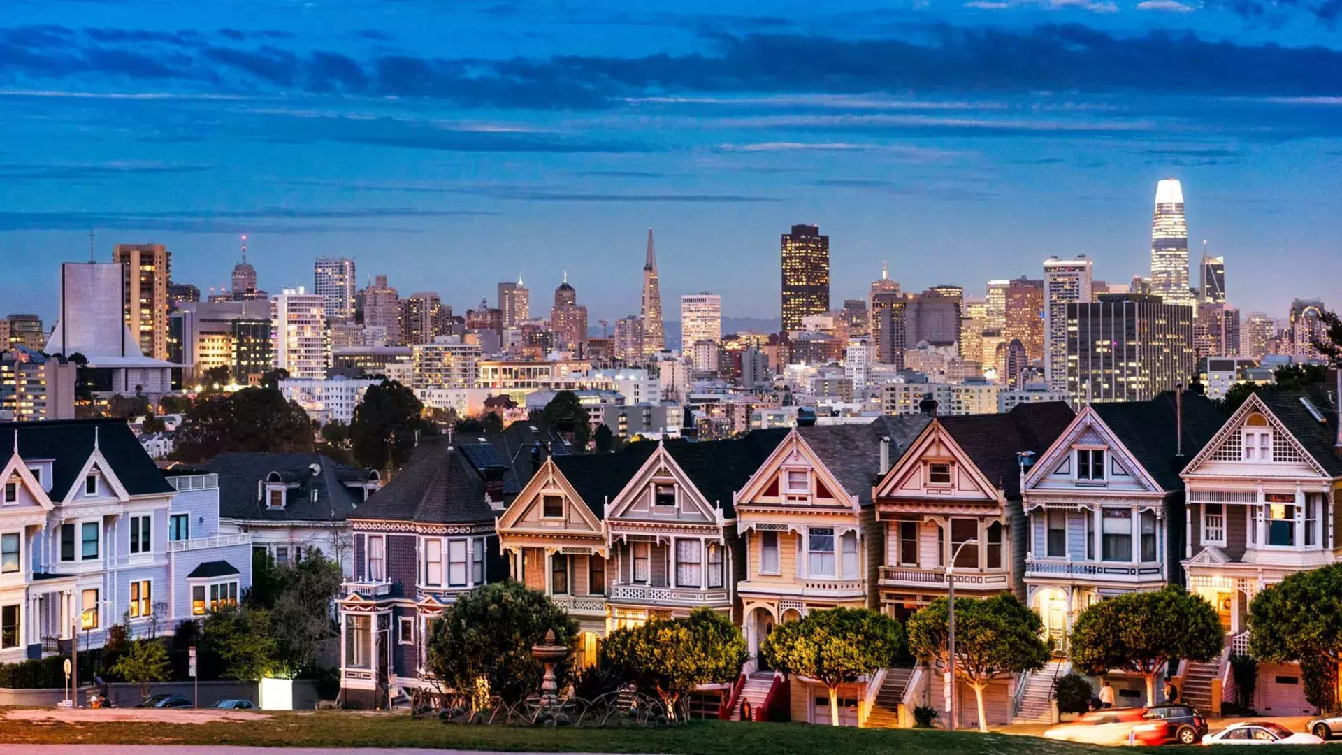 The Painted Ladies image