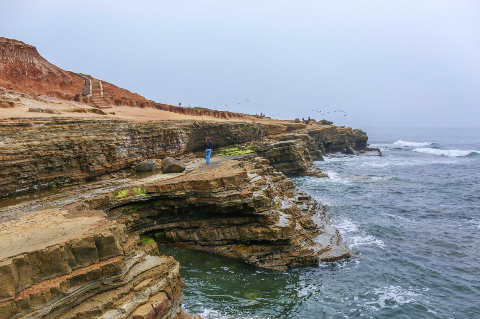 Point Loma Tide Pools image