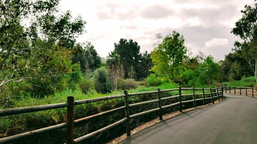 Oso Creek Trail image