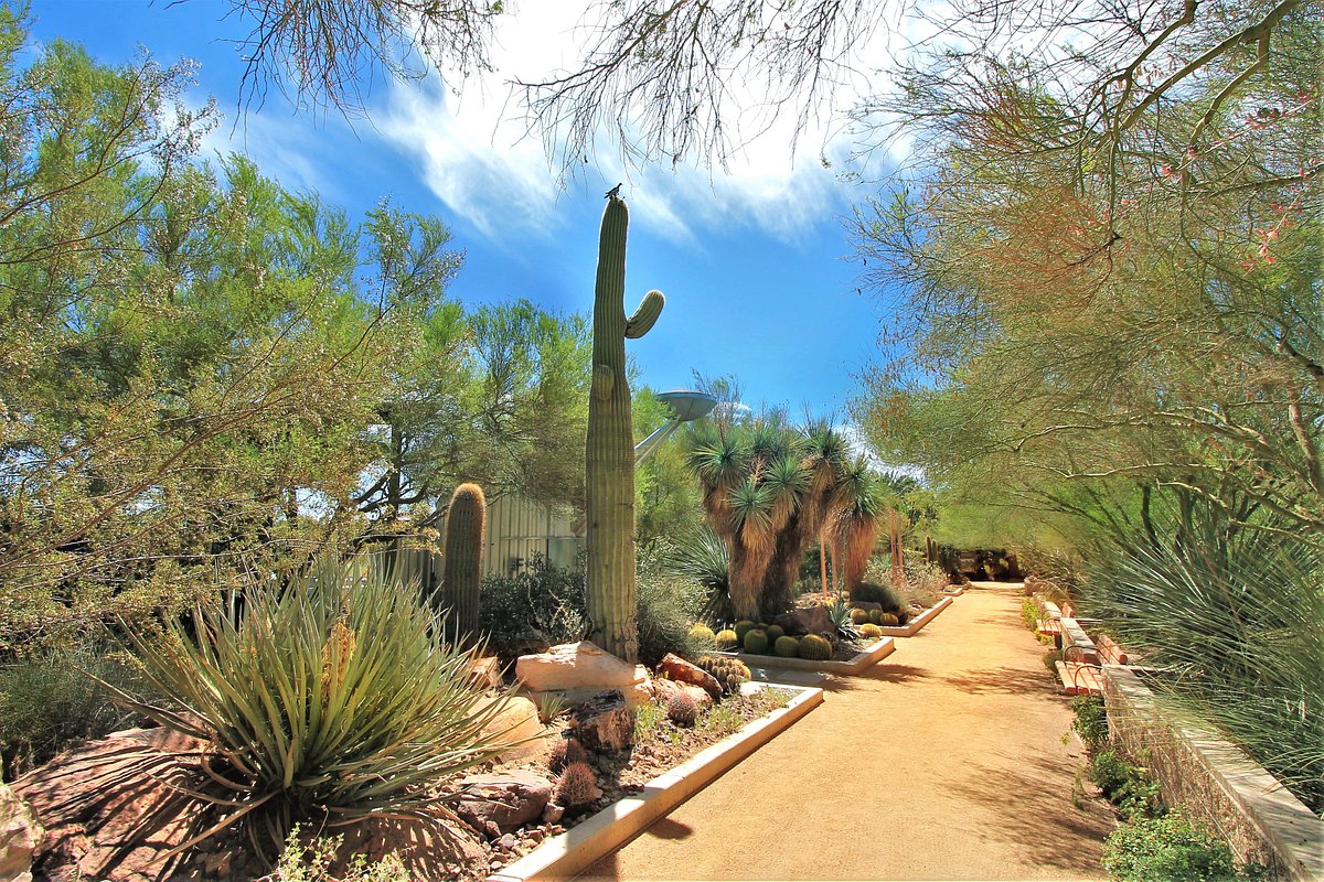 Springs Preserve image
