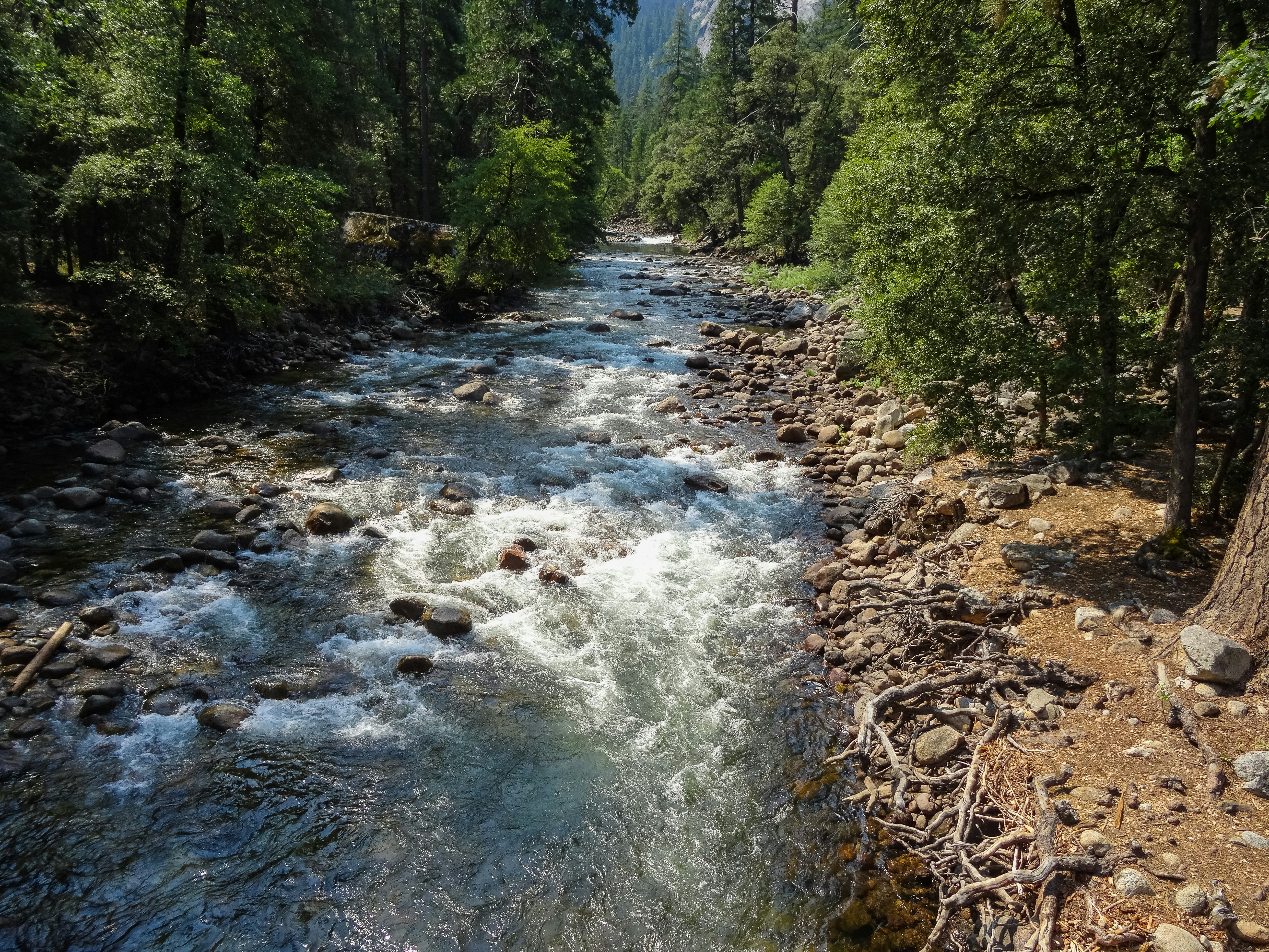 Sequoia and Kings Canyon National Parks image