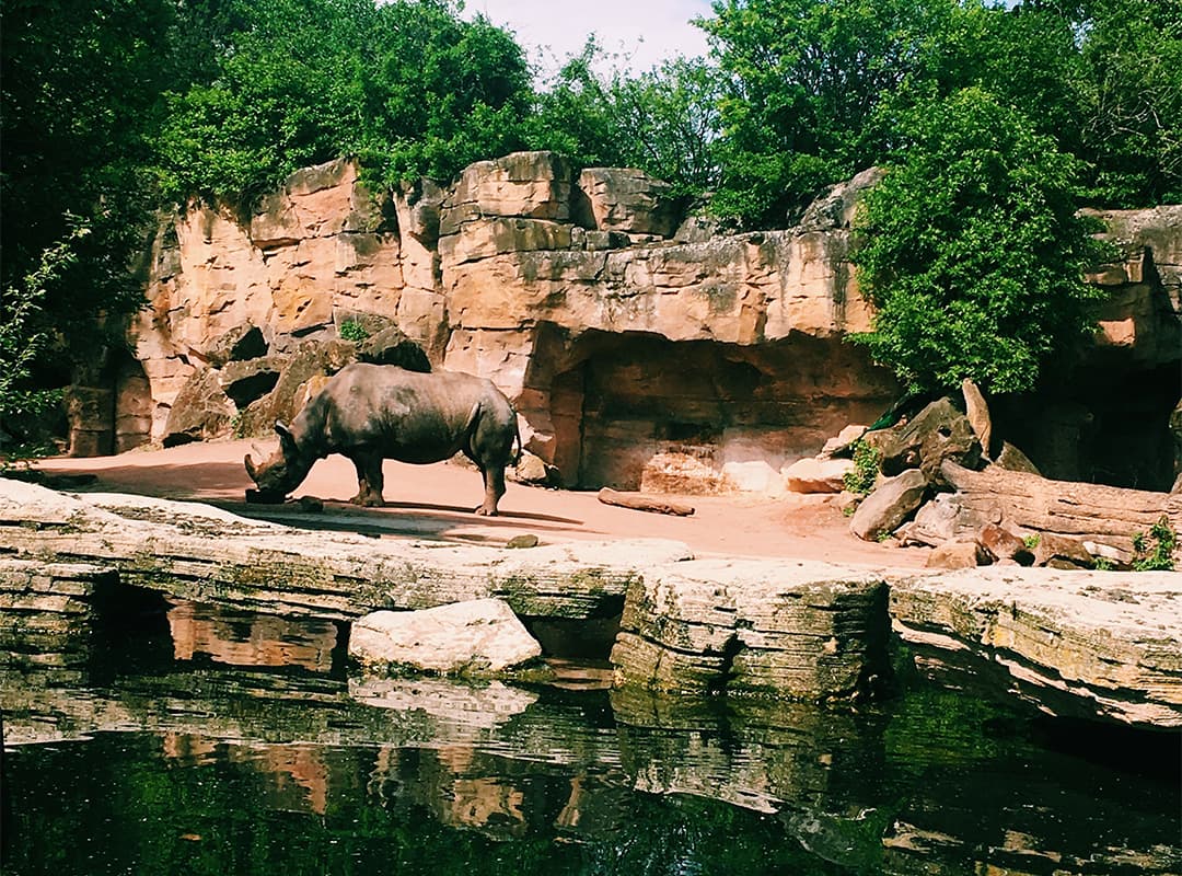 Nashville Zoo image