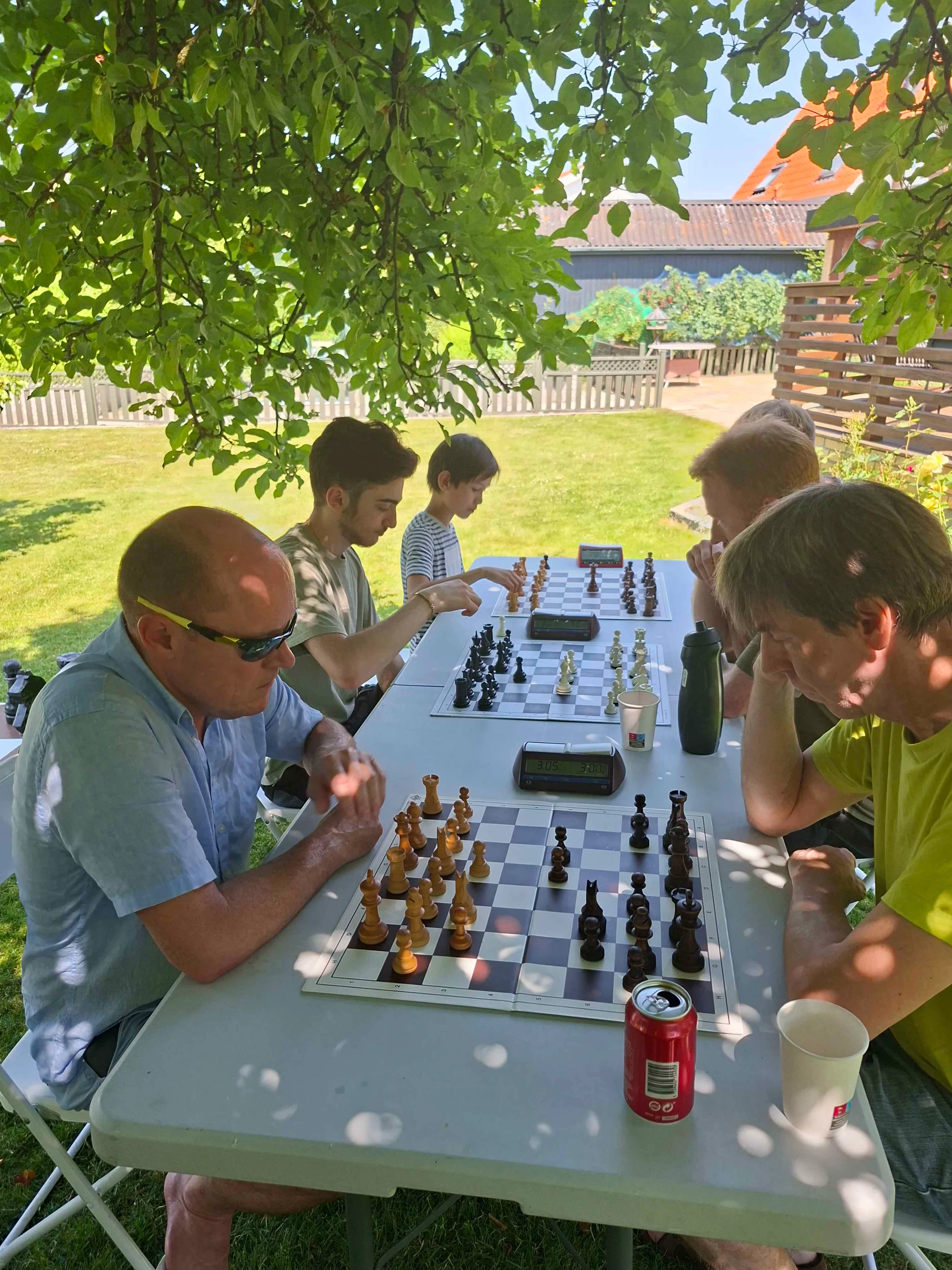 Horsens Skakforening