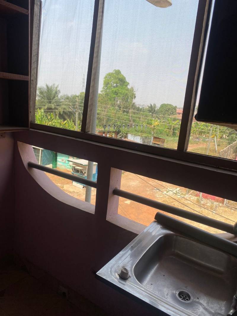 IPS Hostel Cream — photo 4