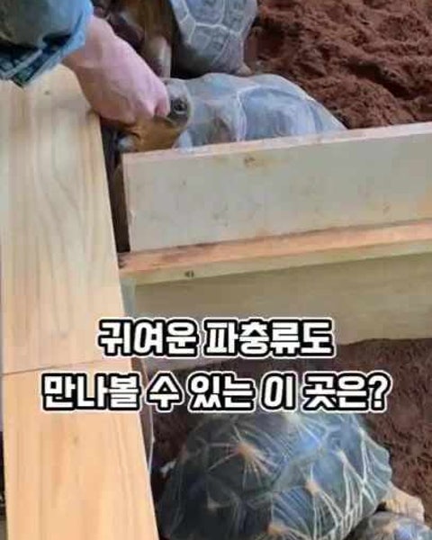 카페 할인 이벤트 - 삼막창고카페 - 삼막창고로 오세요~!