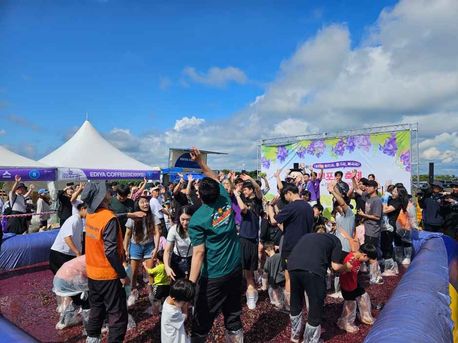 축제/행사 할인 이벤트 - 안산 대부포도축제 (9/19~9/20)