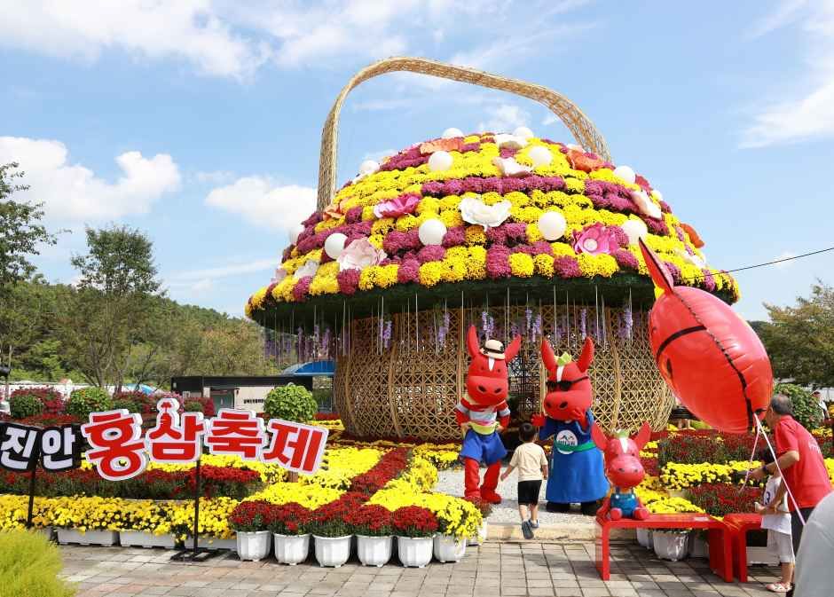 축제/행사 할인 이벤트 - 진안홍삼축제 (9/18~9/20)