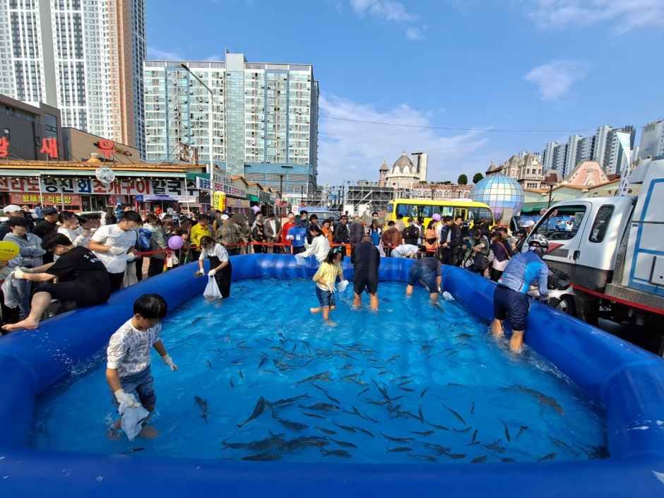 시흥월곶포구축제 (10/9~10/11) - 축제/행사 이벤트 썸네일