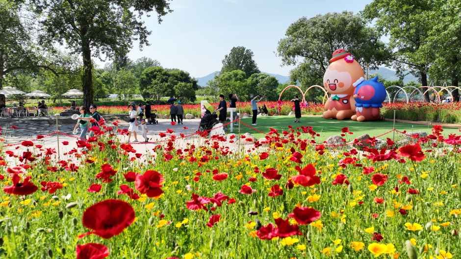 축제/행사 할인 이벤트 - Colorful Garden 자라섬 꽃 페스타 (5/23~6/14)