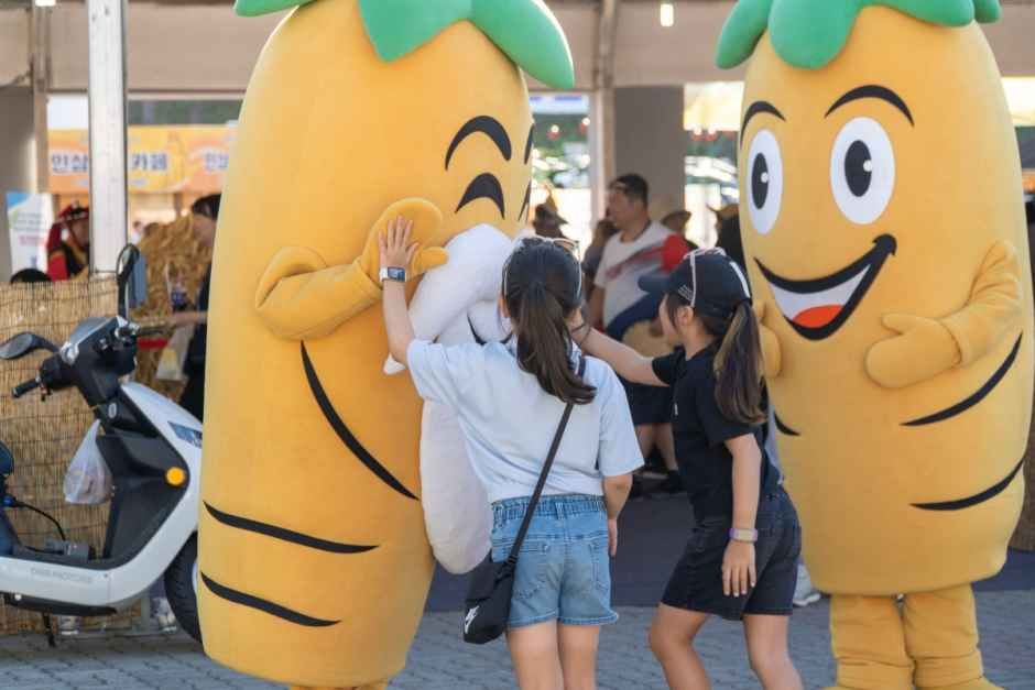 축제/행사 할인 이벤트 - 금산세계인삼축제 (10/2~10/11)