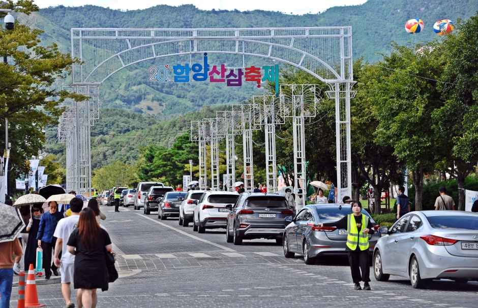 축제/행사 할인 이벤트 - 함양산삼축제 (10/7~10/11)
