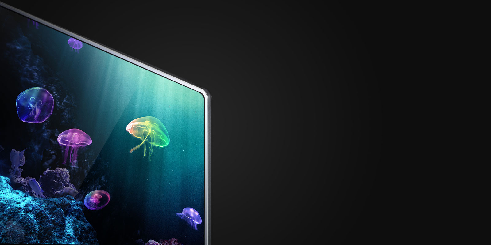 OLED vs 4K Televisions