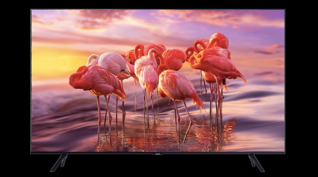 Samsung HCU708 Series 65" Hospitality Display - HG65CU708NFXZA