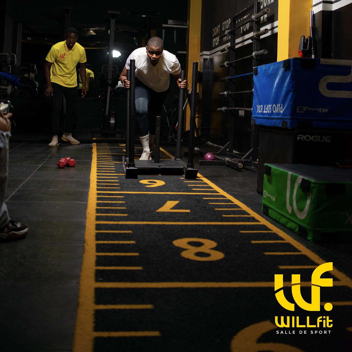 Willfit Gym