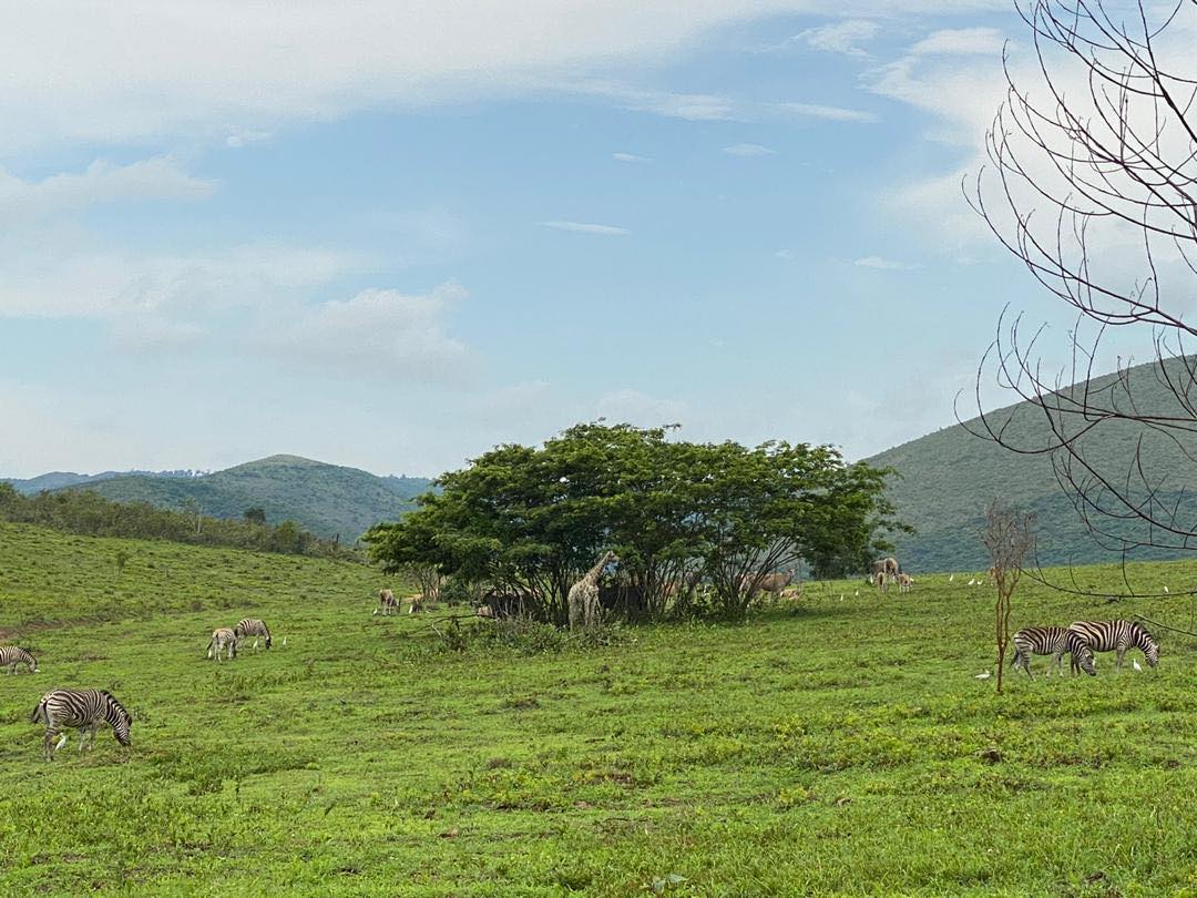 Parc de la Vallée de la Nsele 