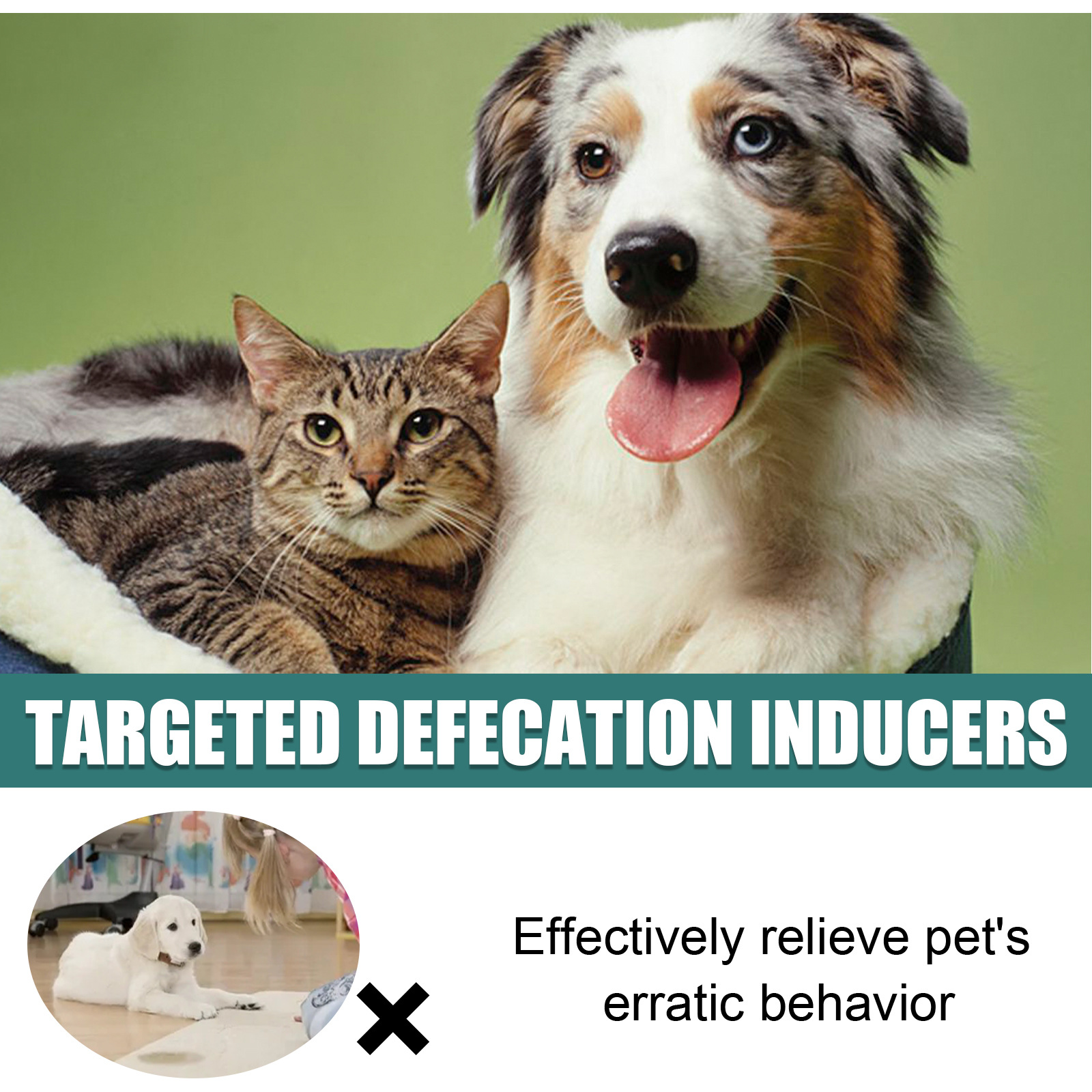 Defecation inducer train your pet where to toilet