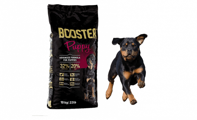 Booster dry kibble for puppy, 10kg, advanced formula