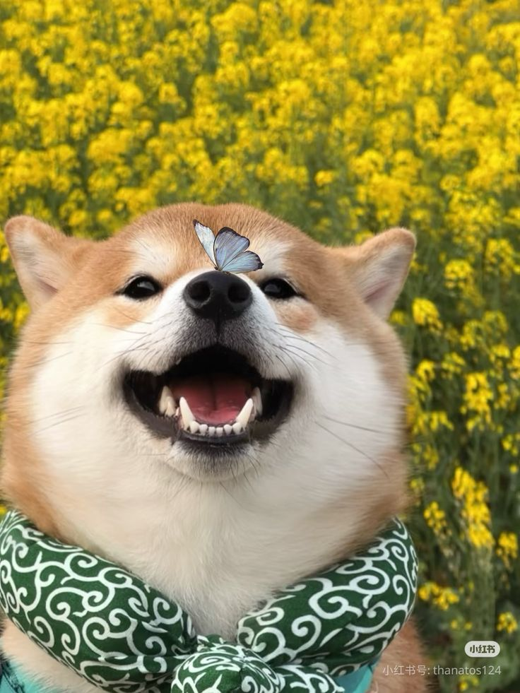 Đào test tag khu vực , dự án = 0