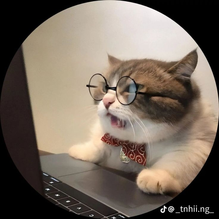 👆 🙂 Tin tức quy hoạch và pháp lý dự án không có trong lisst