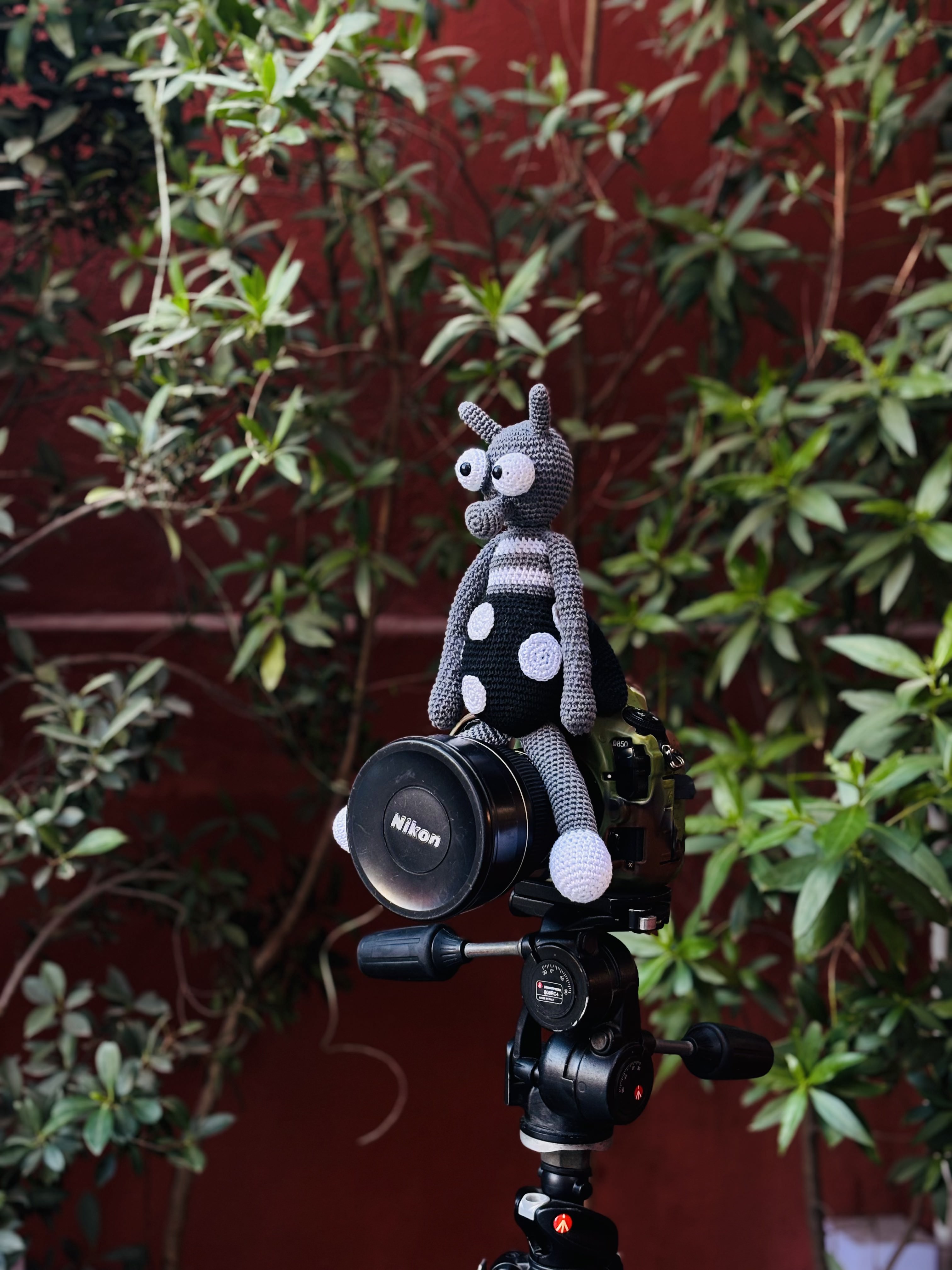 Not In My Houze cover