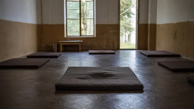 Sharon Salzberg: Practicing Loving-Kindness to Heal Childhood Trauma