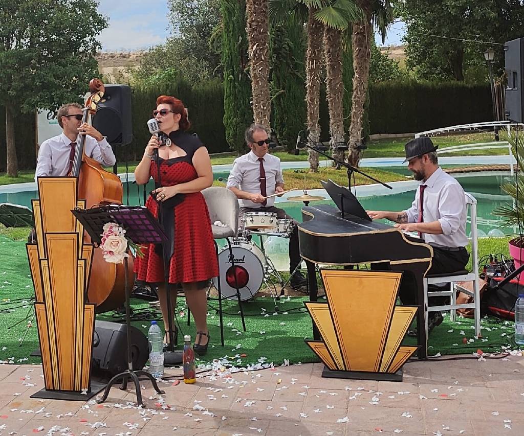 La Petite Suite Band (Trio)