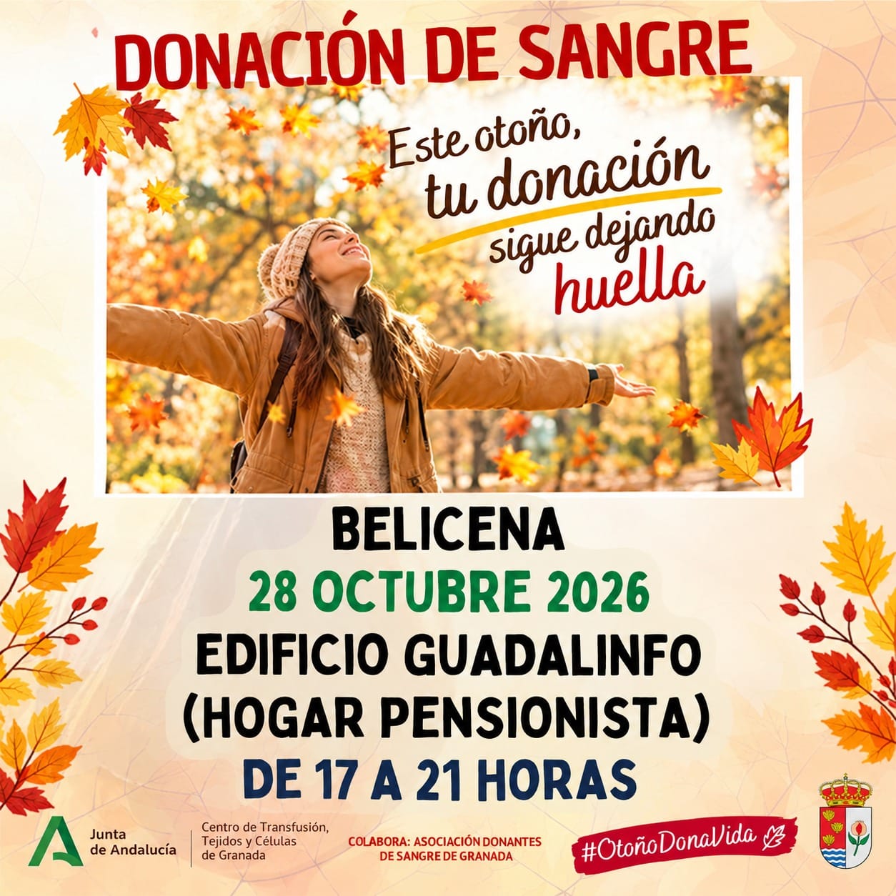 Donación de Sangre en Belicena