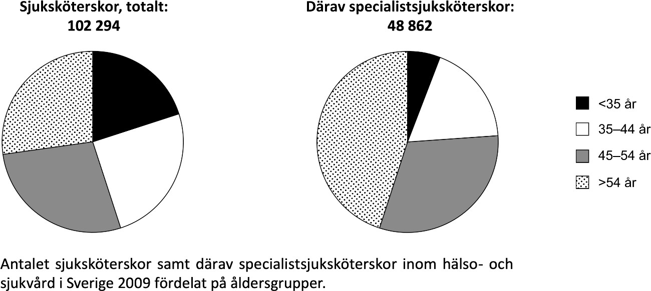 Åldersfördelning bland vårdpersonal - bild nummer 1