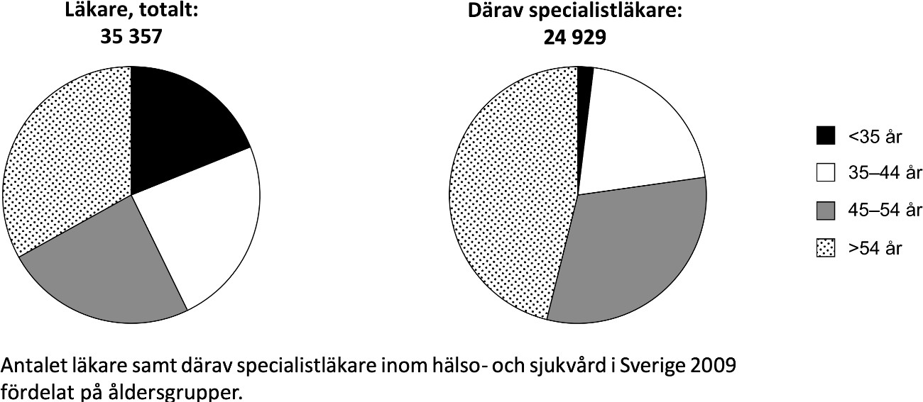 Åldersfördelning bland vårdpersonal - bild nummer 2