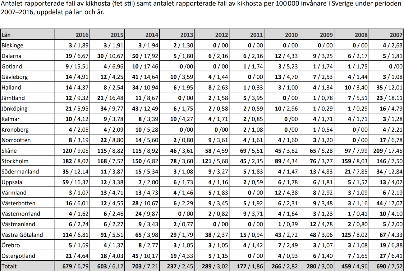 Kikhosta - bild nummer 1