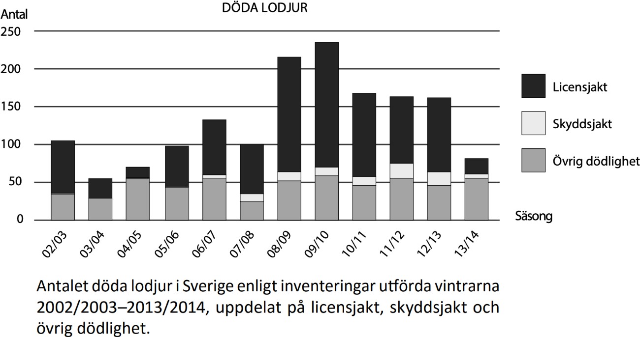 Den svenska lodjursstammen - bild nummer 2