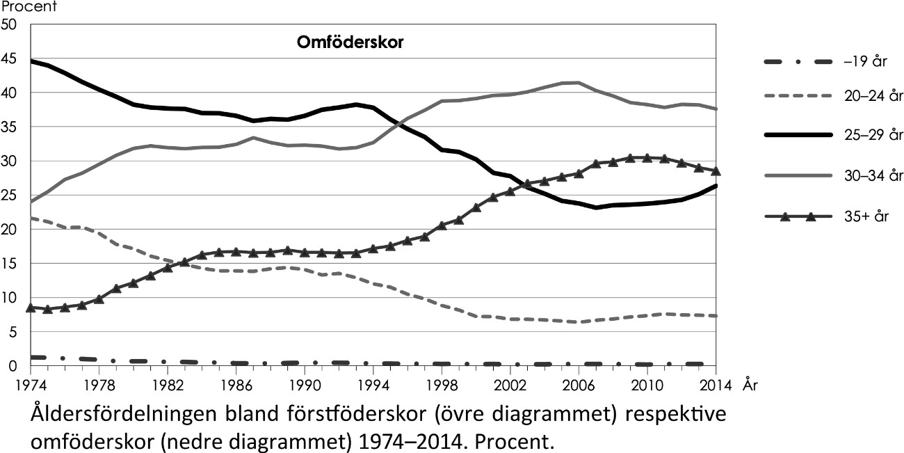 Åldrar bland barnaföderskor - bild nummer 3