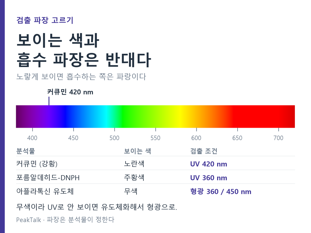 커큐민이 420 nm인 이유 — 눈에 보이는 색이 검출 파장을 알려준다